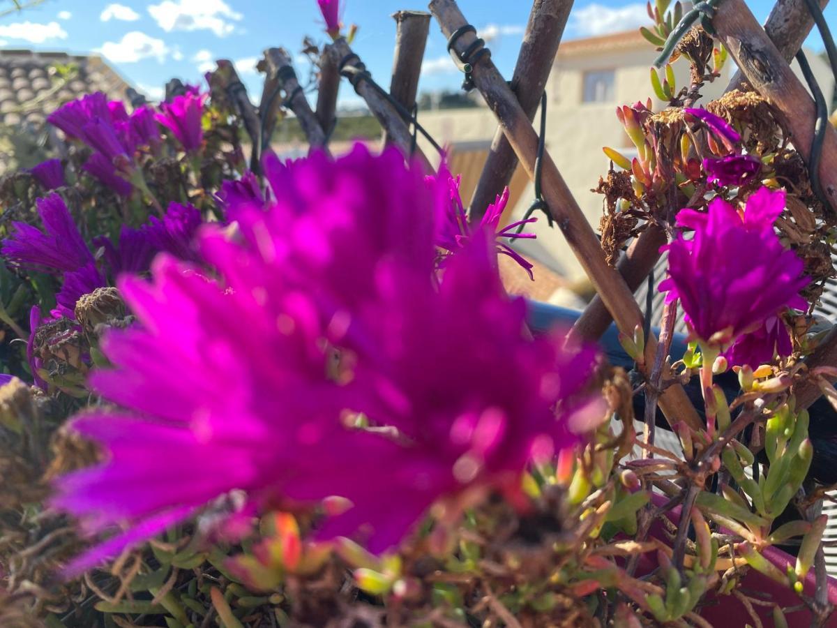 Sol Mediterraneo アルガロボ・コスタ エクステリア 写真